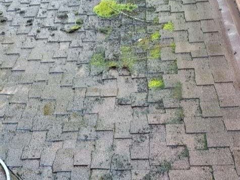 Sam's Power washing & Window Cleaning